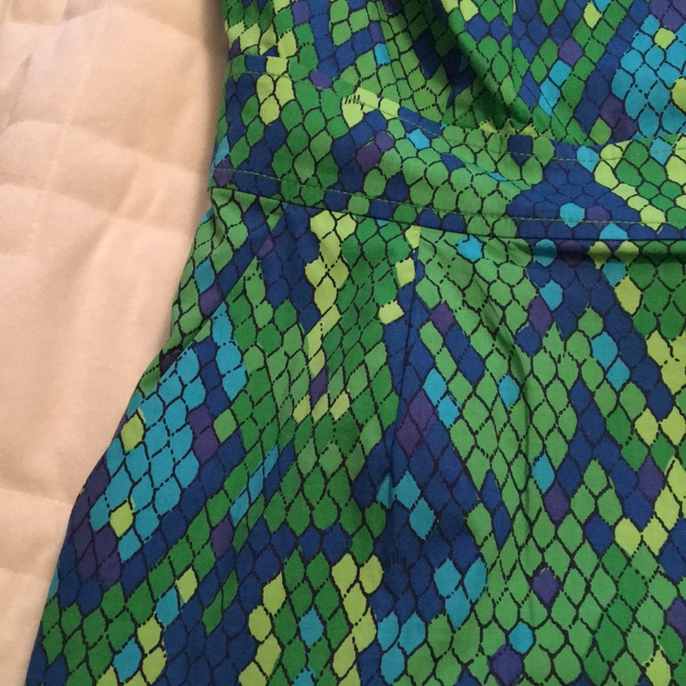 Lilly Pulitzer Dress - Picture 6 of 8
